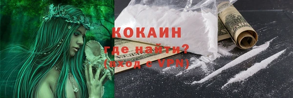 мяу мяу мука Аркадак
